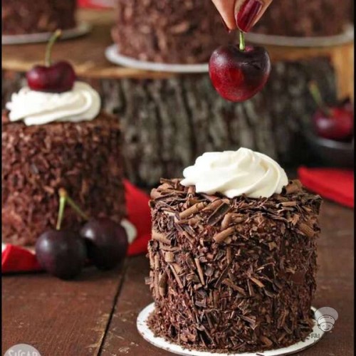 Black Forest mini